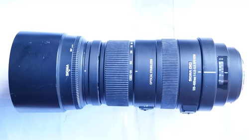 Sony fit sigma - dg, hsm